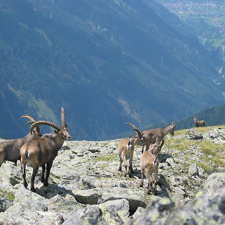 Apart Gletscherblick Kaunertal Exterior foto