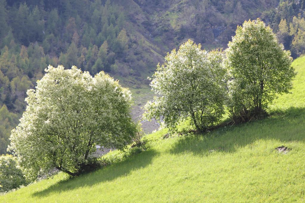 Apart Gletscherblick Kaunertal Exterior foto