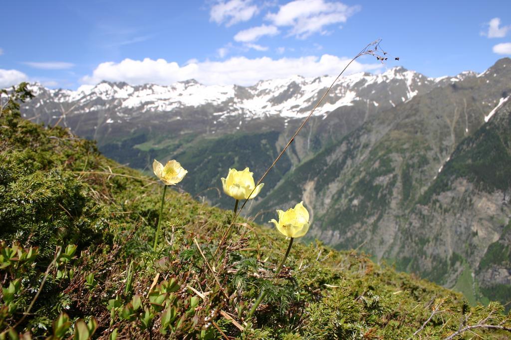 Apart Gletscherblick Kaunertal Exterior foto
